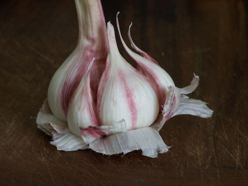 Photo d'une gousse d'ail rose frais