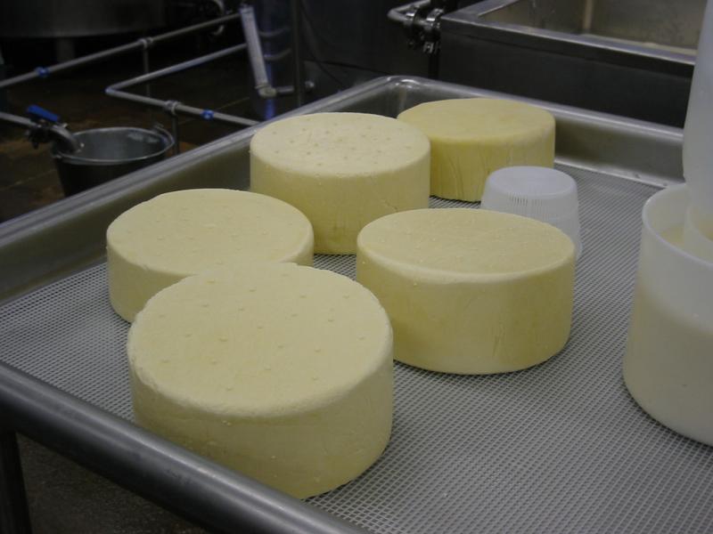 Photo de fromages d'Asiago, durant l'affinage.