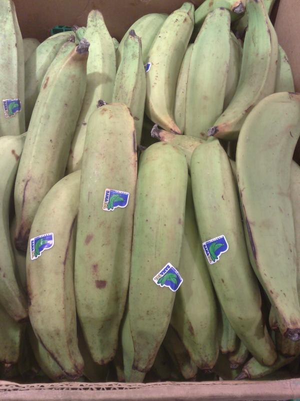 Banane plantain, crue.