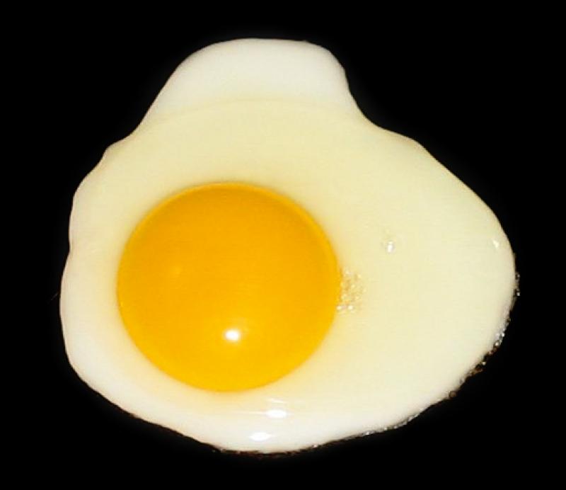 Oeuf, blanc (blanc d'oeuf), cuit.