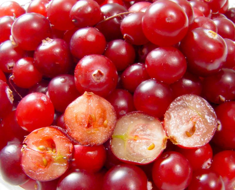Canneberges ou cranberries, crues
