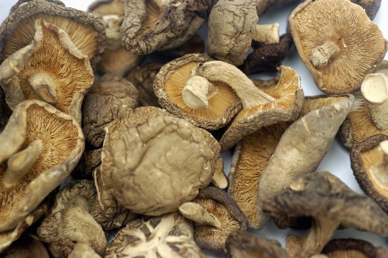 Champignons, lentins comestibles ou shiitakés, séchés.