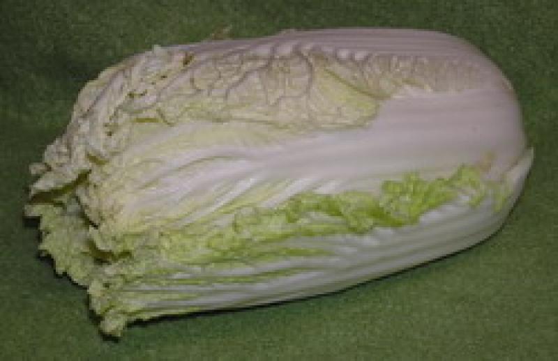 Photo d'un chou chinois (pak-choi ou pé-tsai), cuit.