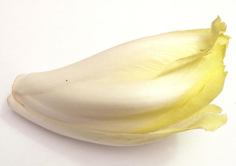Endive, crue.