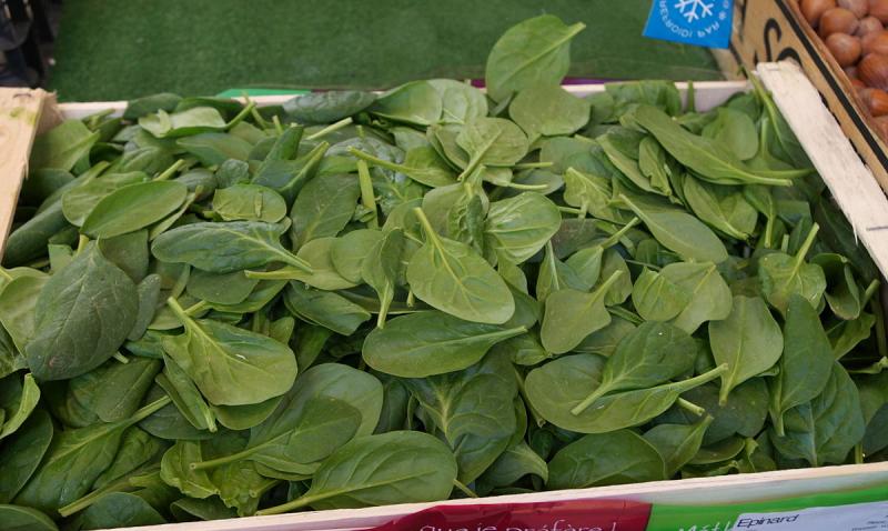 Épinard, jeunes pousses pour salades, cru.