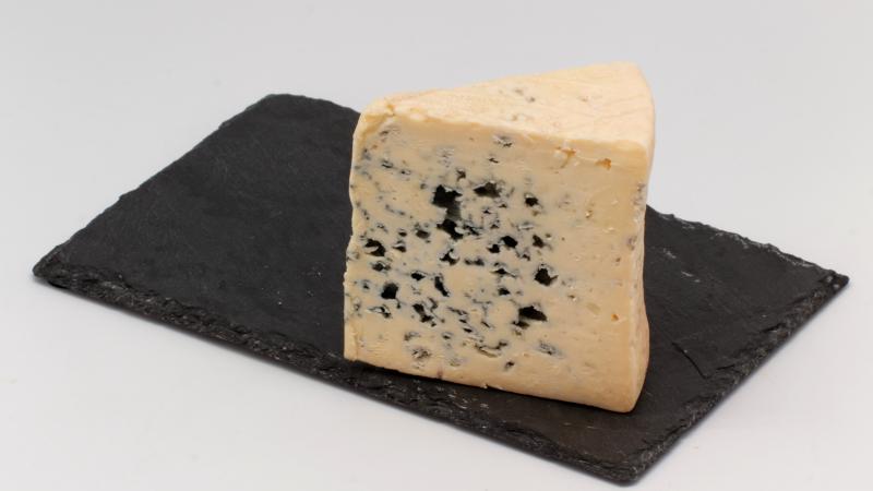 Photo d'un morceau de fromage bleu des Causses.