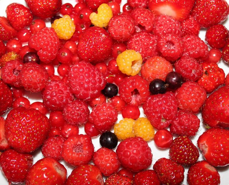 Fruits rouges, crus (framboises, fraises, groseilles, cassis).