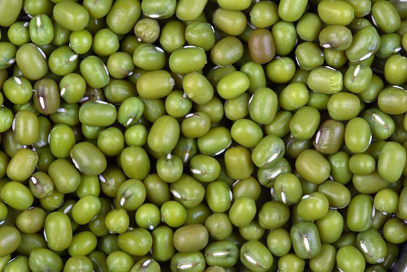 Haricots mungo, secs.