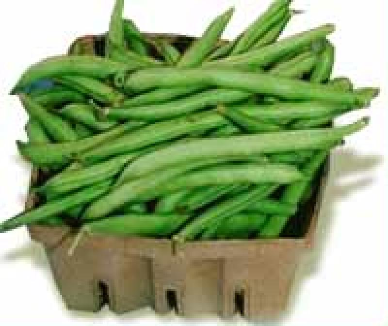 Haricots verts, crus.