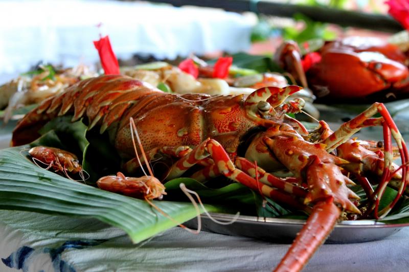 Langouste, bouillie/cuite à l'eau.