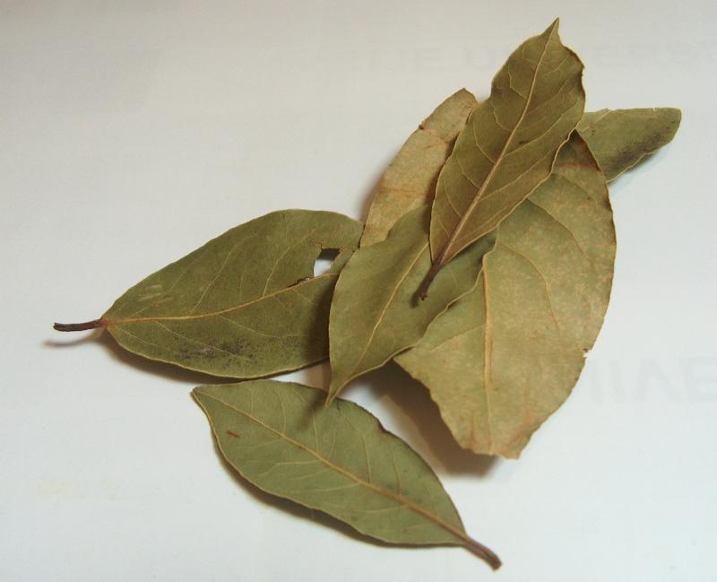 Photo de feuilles de laurier.