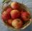 Un aliment