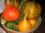 Un aliment