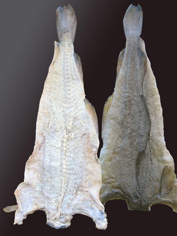 Photo de filets de morue, salée, séchée.