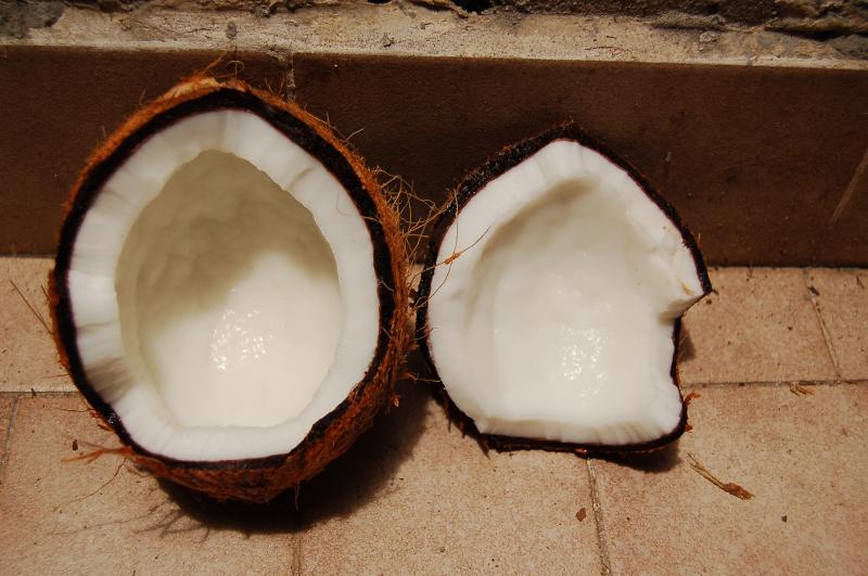 Photo d' une noix de coco, amande, sèche.