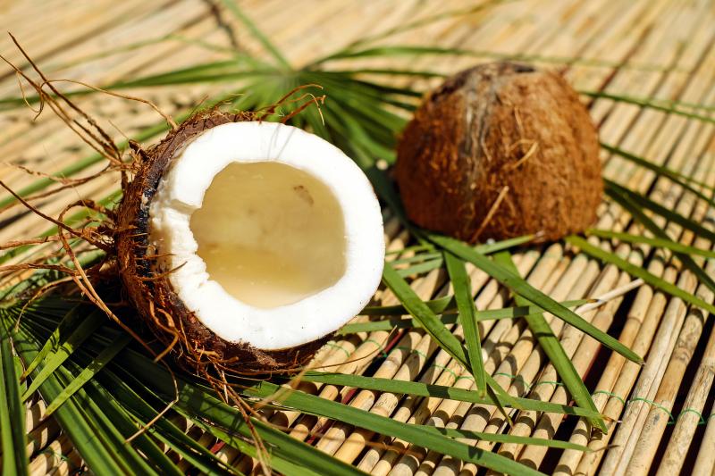 Photo de noix de coco, 