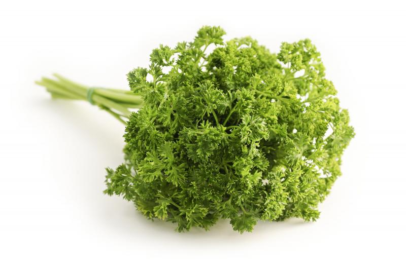 Photo d'un bouquet de persil frais.