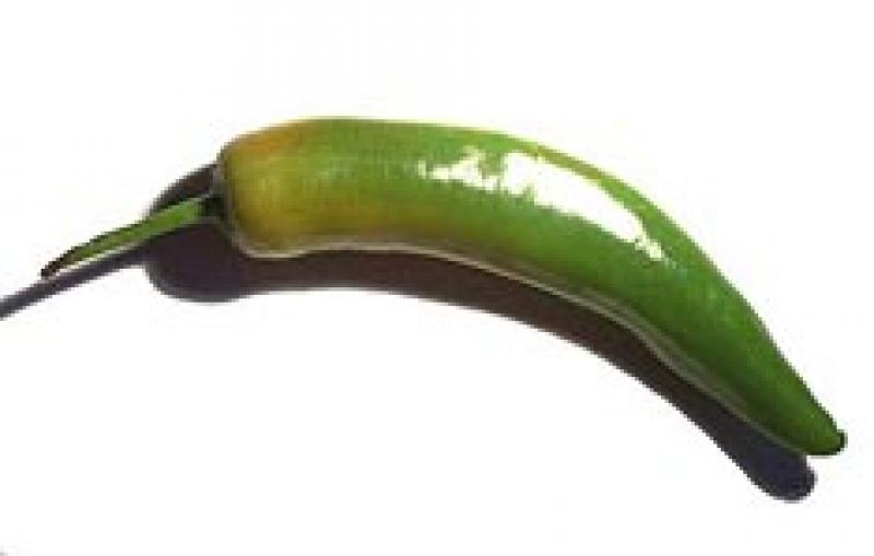 Piment, cru.