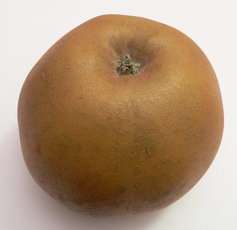 Pomme Canada, pulpe, crue.