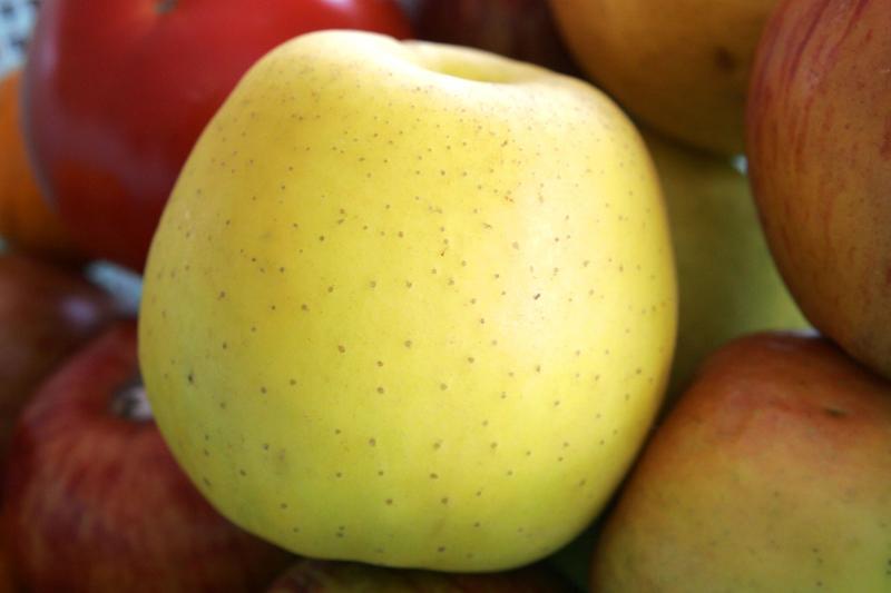 Pomme Golden, pulpe et peau, crue.