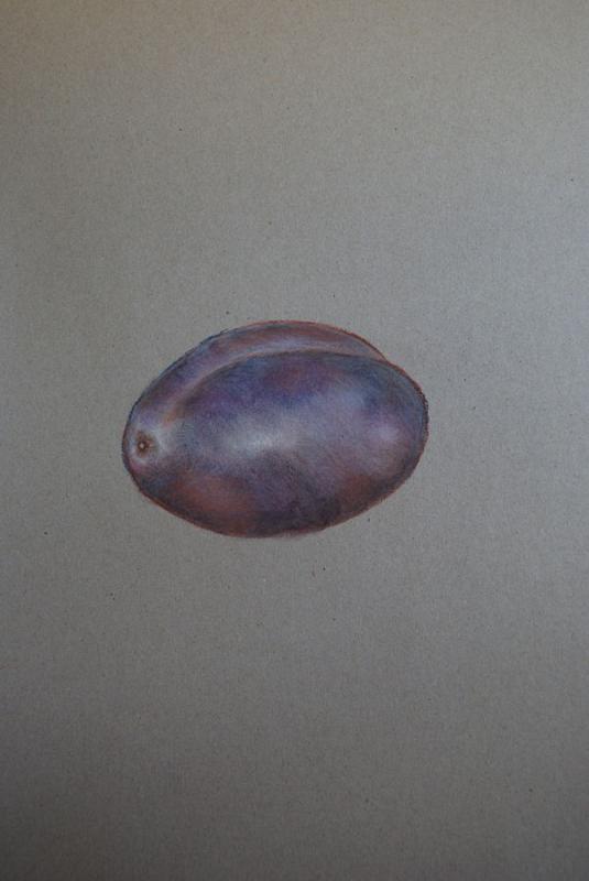 Prune, crue.