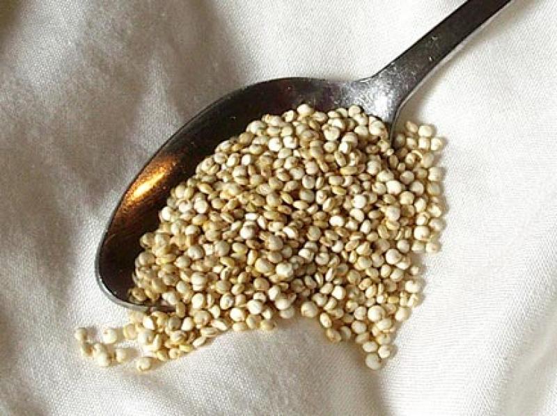 Photo d'une cuillère de quinoa, cru.