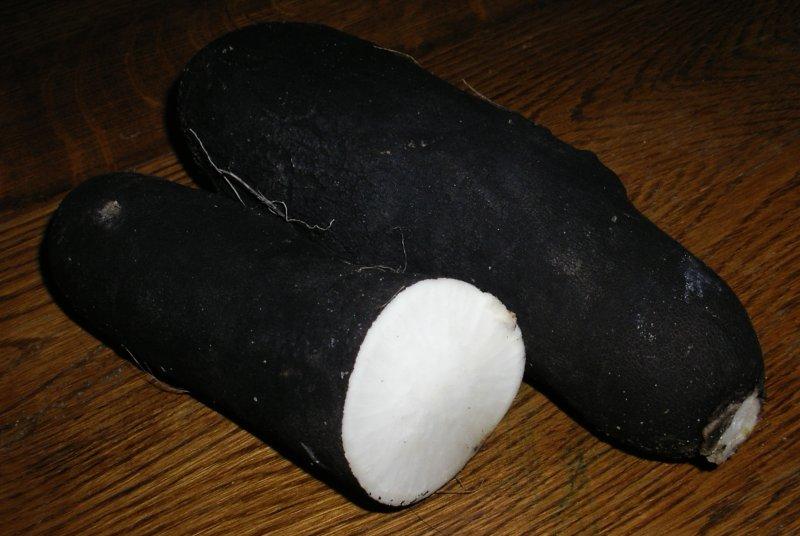 Radis noir, cru.