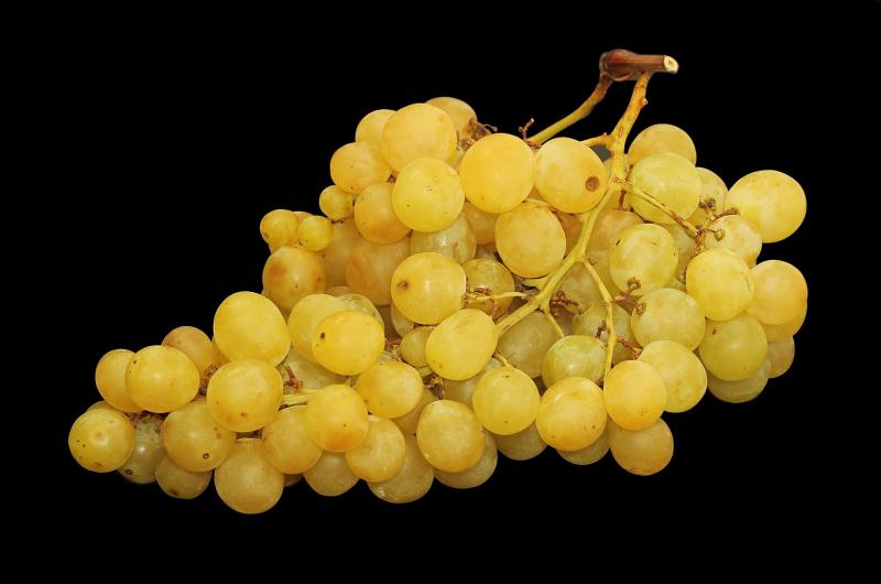 Raisin blanc, à gros grain (type Italia ou Dattier), cru.