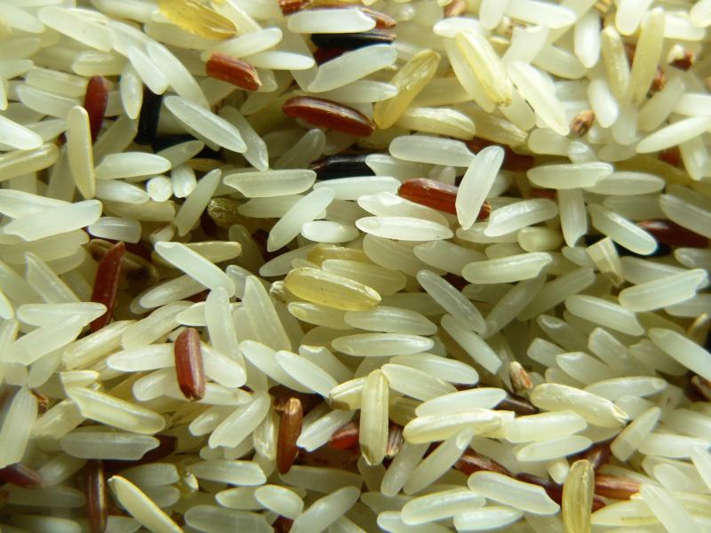 Photo de mélange de variétés de riz (blanc, complet, rouge, sauvage, etc.), cru.