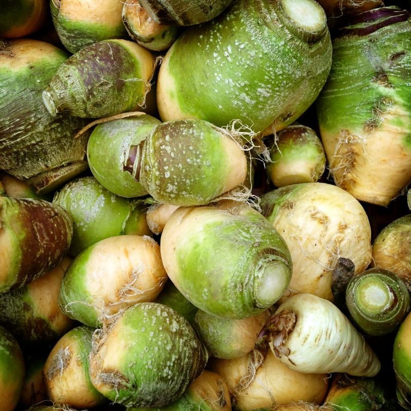Rutabaga, cru.