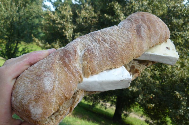 Photo d'un sandwich baguette, camembert, beurre.