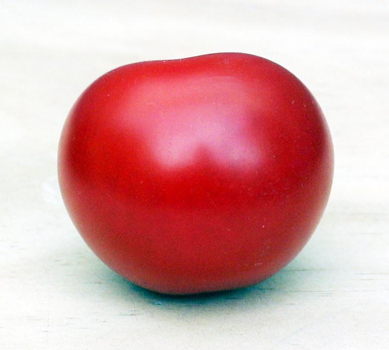 Photo d'une tomate, pulpe, appertisée.