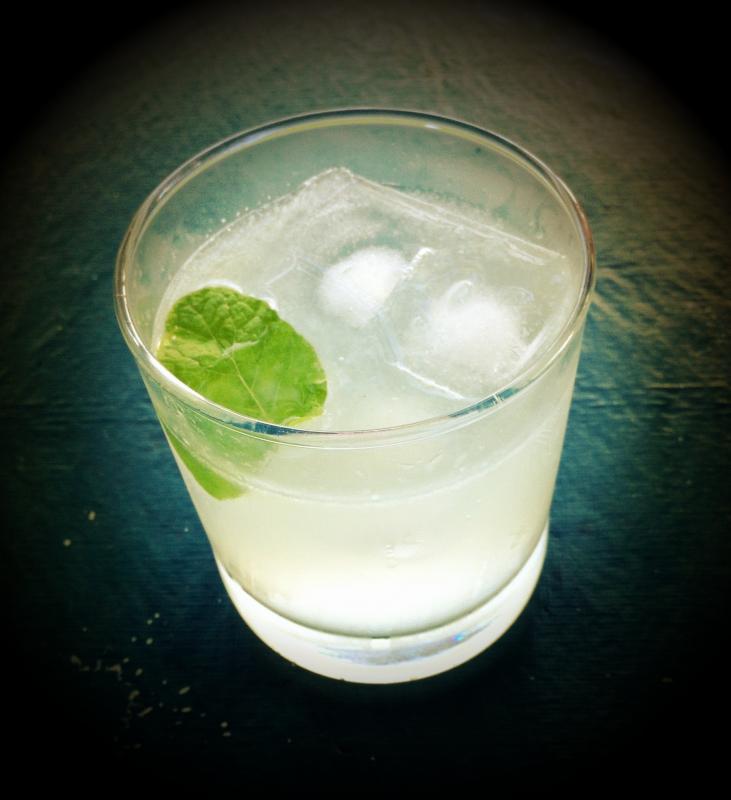 Un verre de Gin-Tonic bien frais.