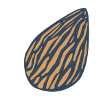  image de l'aliment Amande (avec peau)