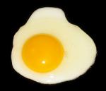  image de l'aliment Oeuf, blanc (blanc d'oeuf), cuit