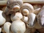  image de l'aliment Champignon de Paris ou champignon de couche, appertisé, égoutté