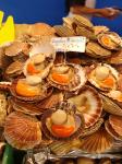  image de l'aliment Coquille Saint-Jacques, noix, crue