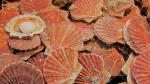  image de l'aliment Coquille Saint-Jacques, noix et corail, crue