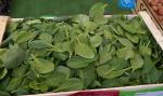  image de l'aliment Épinard, jeunes pousses pour salades, cru