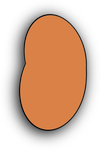  image de l'aliment Fève, cuite