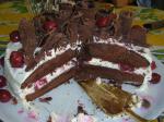  image de l'aliment Gâteau au chocolat type forêt noire (génoise au chocolat et crème multi-couches, avec ou sans cerises)