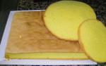  image de l'aliment Gâteau moelleux nature type génoise