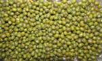  image de l'aliment Haricot flageolet, vert, sec