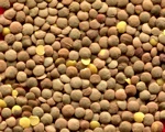  image de l'aliment Lentille, cuisinée, appertisée, égouttée