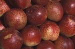  image de l'aliment Nectarine ou brugnon, pulpe et peau, crue