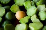  image de l'aliment Pois cassé, sec