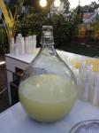  image de l'aliment Pomelo (dit Pamplemousse) jaune, pulpe, cru