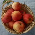  image de l'aliment Pomme, pulpe et peau, crue