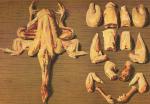  image de l'aliment Poulet fermier, viande et peau, cru