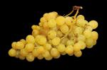  image de l'aliment Raisin blanc, à gros grain (type Italia ou Dattier), cru
